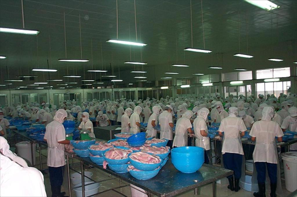 Xuất khẩu cá tra vào thị trường châu Âu (Phần cuối Cạnh tranh và giá)