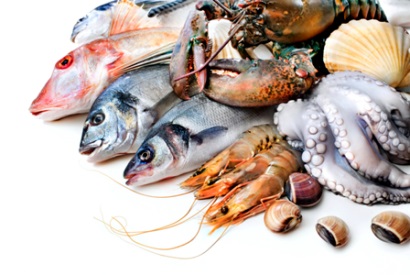 Cập nhật thông tin về Chương trình Giám sát Nhập khẩu Thủy sản (SIMP) 