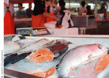 Chương trình giám sát thủy sản nhập khẩu vào Mỹ Mã biểu thuế quan hài hòa và các loài yêu cầu bộ hồ sơ đầy đủ 