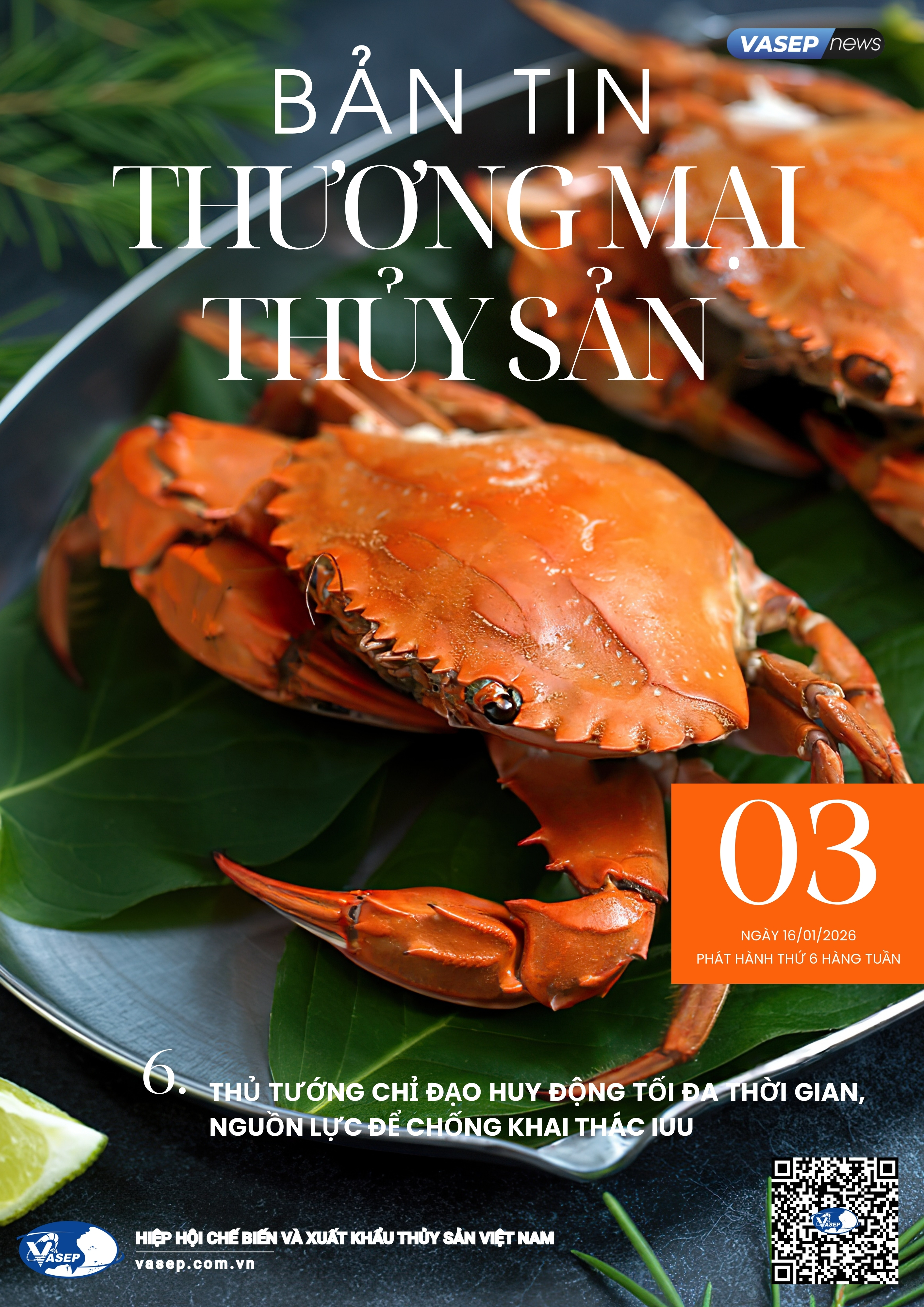 Bản tin tuần Thương mại Thủy sản số 03-2026