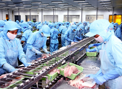 Hàng thủy sản ách tắc vì Thông tư 01