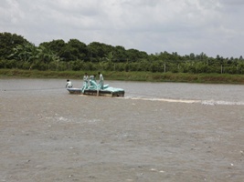 Dai dẳng bài toán thiếu nguyên liệu