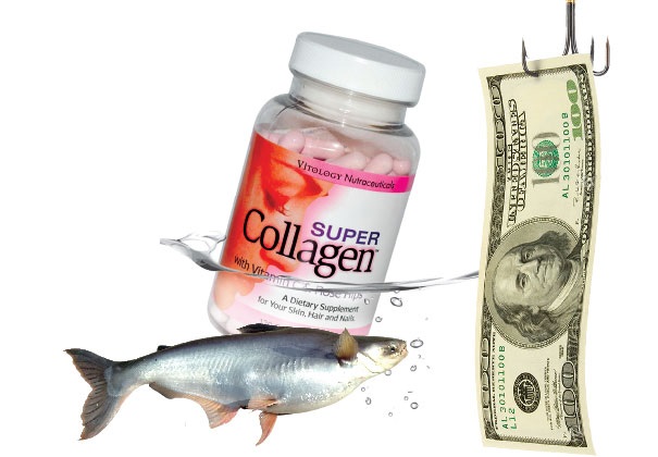  Những giải pháp để nâng cao giá trị sản phẩm thủy sản Việt Nam