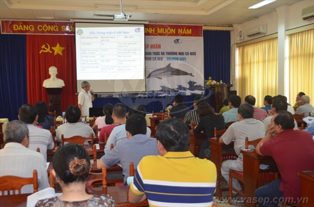 Tập huấn Quy định thị trường về khai thác và TM cá ngừ đủ điều kiện "An toàn cá heo"