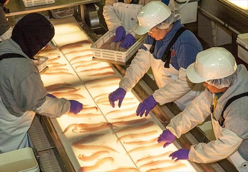  Nguồn cung cá thịt trắng toàn cầu được dự báo hồi phục vào năm 2021