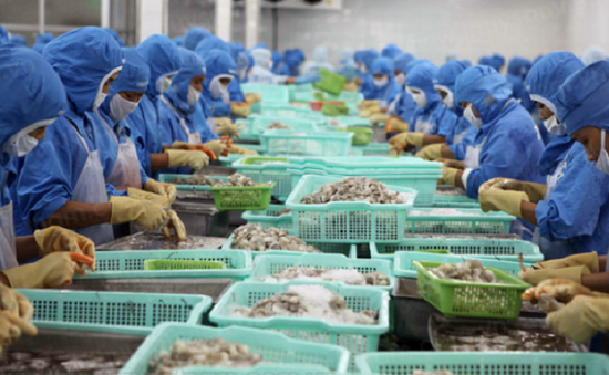 Chính phủ đồng ý cho hàng nhập khẩu để sản xuất, xuất khẩu khi gia công lại trong nước được miễn thuế nhập khẩu