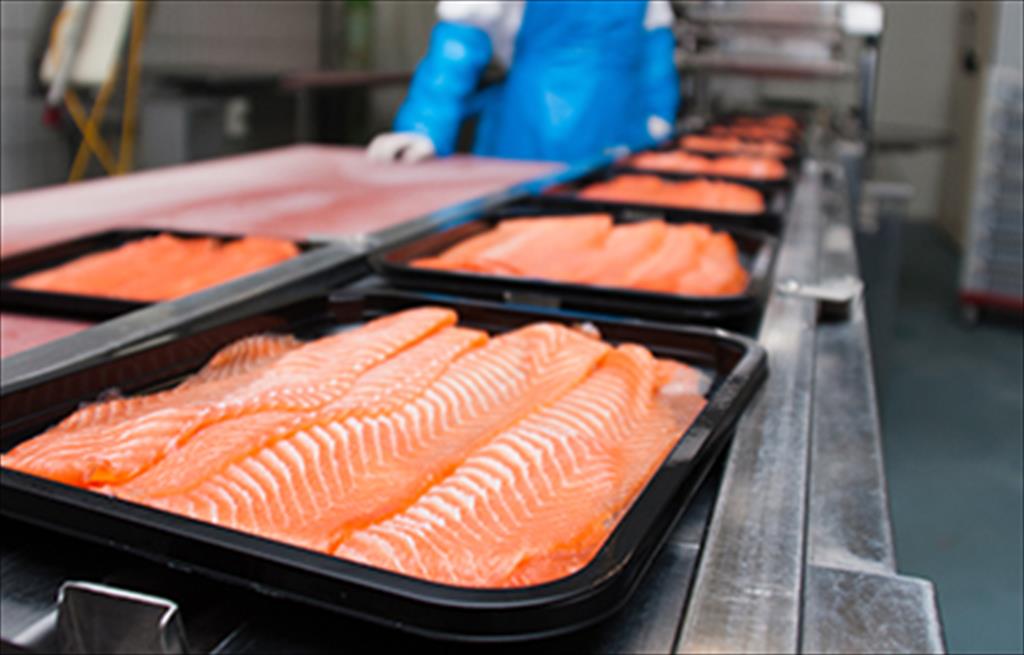  Xuất khẩu thủy sản của Na Uy giảm mạnh trong tháng 11/2020