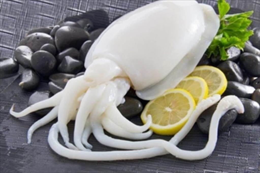 Vietnamese cephalopod exports hiked by 20%