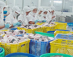 Chế biến thủy sản đông lạnh: Cải tạo, đổi mới công nghệ cho hệ thống quản lý năng lượng và hệ thống chiếu sáng