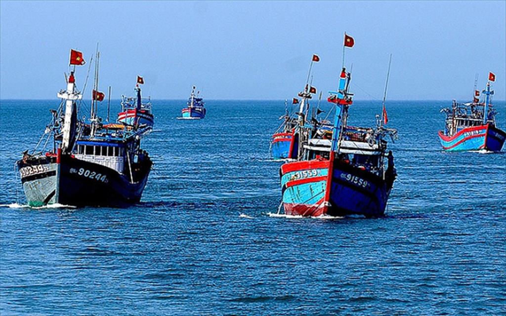 Truy xuất nguồn gốc thủy sản: Chìa khóa gỡ thẻ vàng IUU