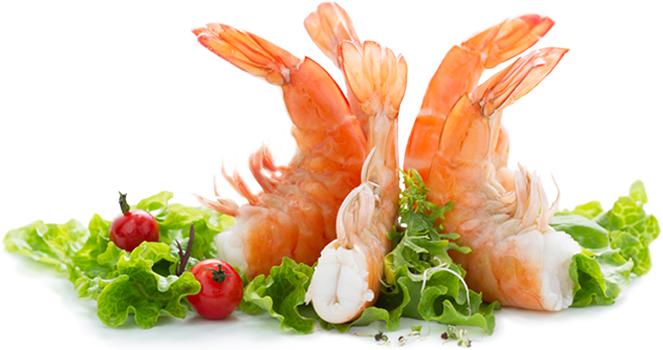 Trung Quốc: Giá tôm tại đầm đạt thấp nhất trong 8 năm 