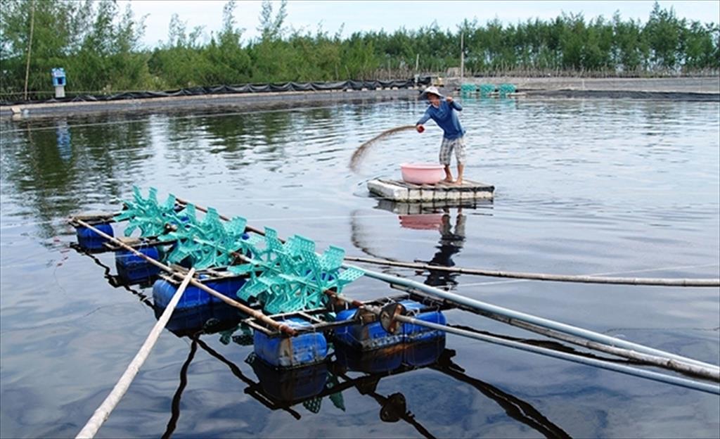 Hoàn thành Trung tâm Giống thủy sản nước mặn