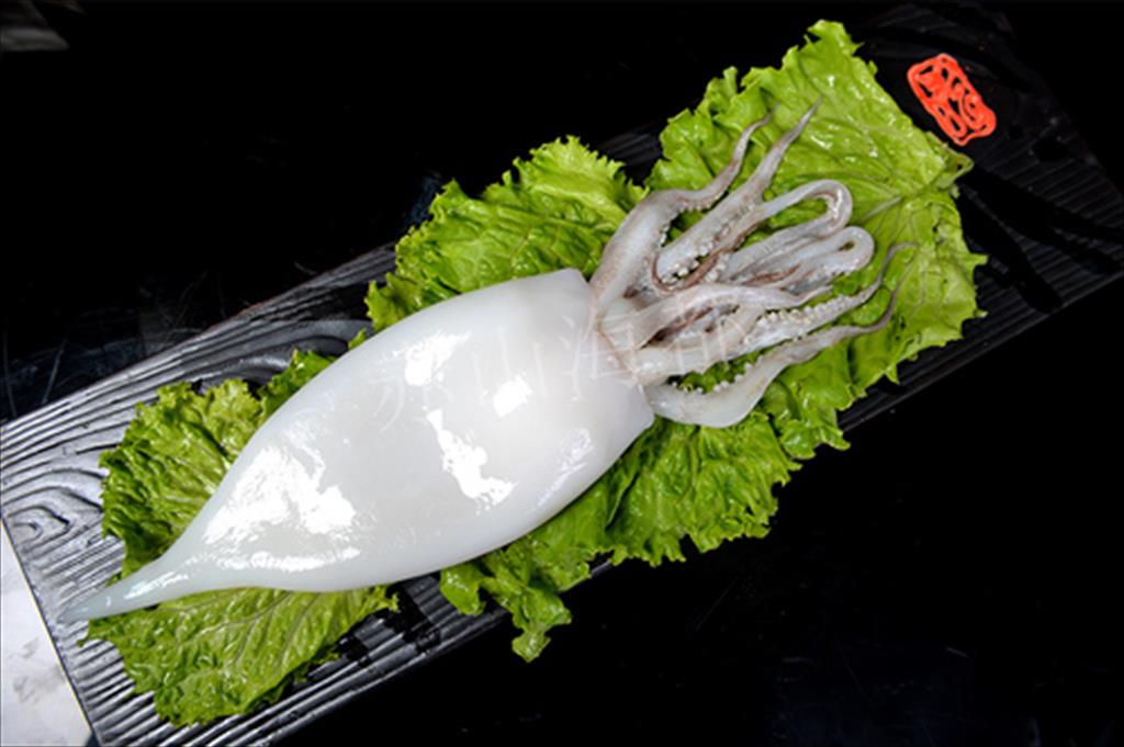 Hàn Quốc tăng nhập khẩu mực ống đông lạnh trong tháng 11/2020