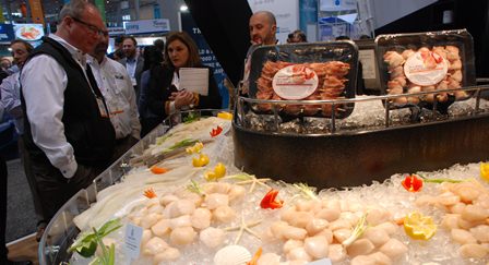 Tháng 10/2020, Mỹ tăng nhập khẩu sò điệp  