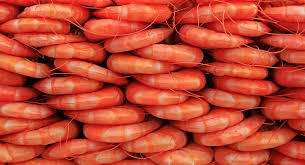 Tháng 11/2020, Trung Quốc giảm nhập khẩu tôm 