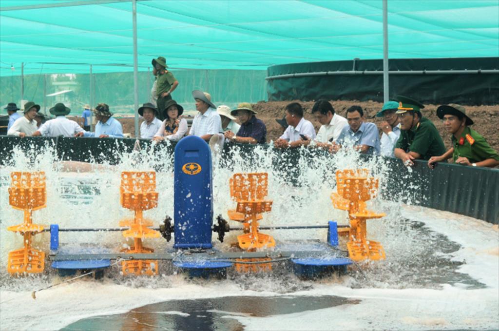 Khai thác "mỏ vàng" phụ phẩm, chất thải ngành thủy sản