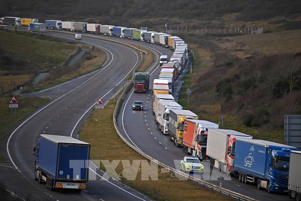 Ách tắc thương mại thủy sản của Anh với EU sau Brexit