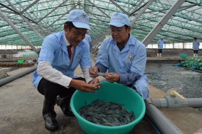 Phát huy lợi thế, khắc phục trở ngại cho vụ tôm 2021