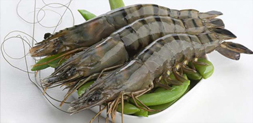 Mỹ: Giá trung bình nhập khẩu tôm tháng 11/2020 tăng nhẹ