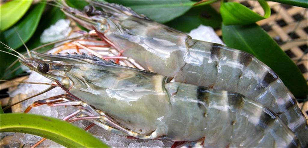 Vietnam plans to export 4 billion USD of shrimp in 2021