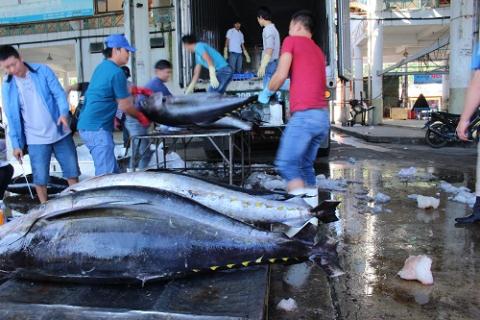 Vietnam tuna exports to Canada increased 25% despite of Covid-19