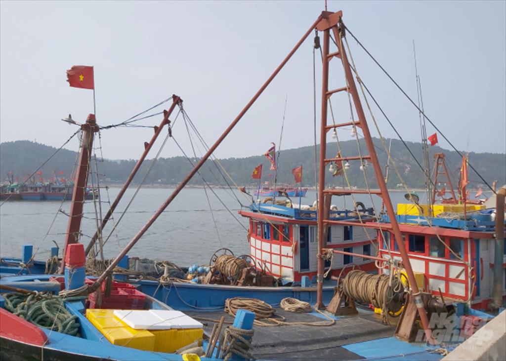 Ngành Thủy sản Nghệ An đối diện nhiều thách thức