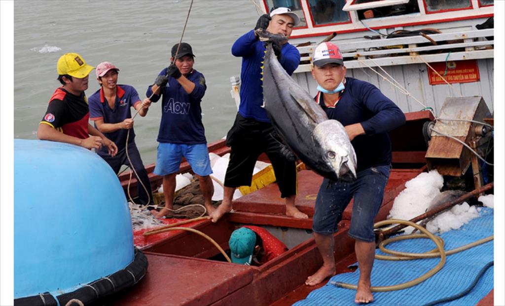 Tiếp tục triển khai các chính sách hỗ trợ ngư dân