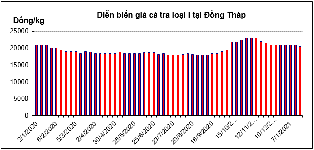 Đầu năm 2021, giá cá tra nguyên liệu tại ĐBSCL ổn định trở lại
