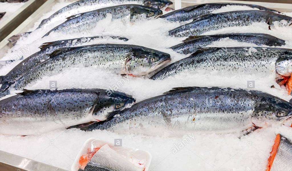 Thái Lan giảm nhẹ nhập khẩu cá hồi từ Na Uy 