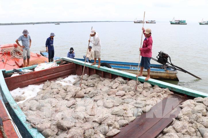 Việt Nam tại WTO: Thúc đẩy đàm phán về trợ cấp thủy sản