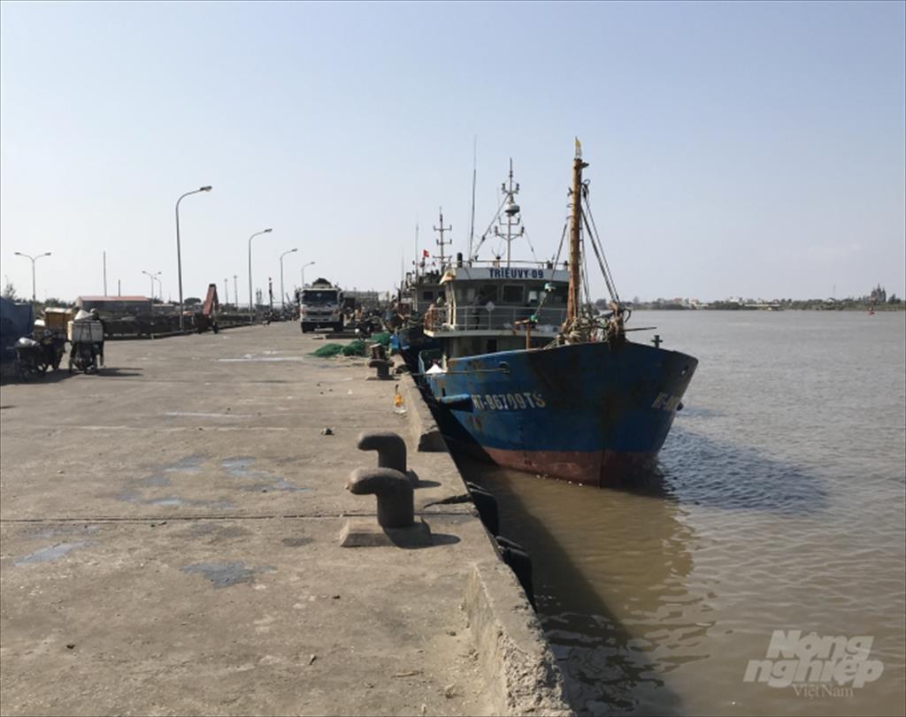 Nam Định: Cảng cá Ninh Cơ được công nhận là cảng cá loại I