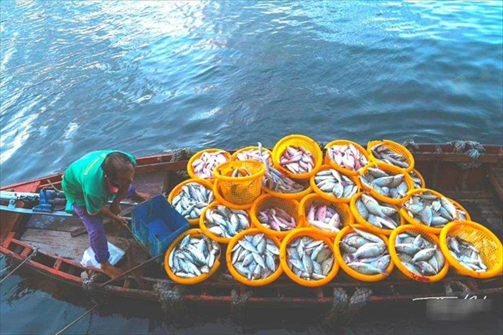 Good signals for Vietnam