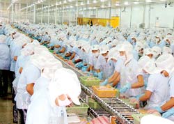 Mời hợp tác tổ chức đào tạo nâng cao năng lực đội ngũ trong doanh nghiệp thủy sản