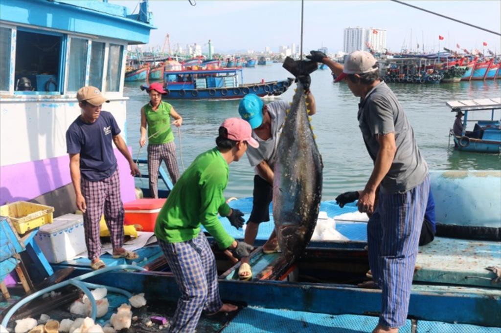 US importers sharply increase orders for Vietnam tuna 