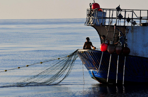 Oceana kêu gọi chấm dứt khai thác bất hợp pháp, gian lận thuỷ sản 