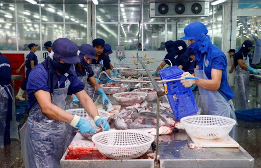 SPS Việt Nam đề nghị thảo luận về tiêu chuẩn của Brazil với thủy sản nhập khẩu