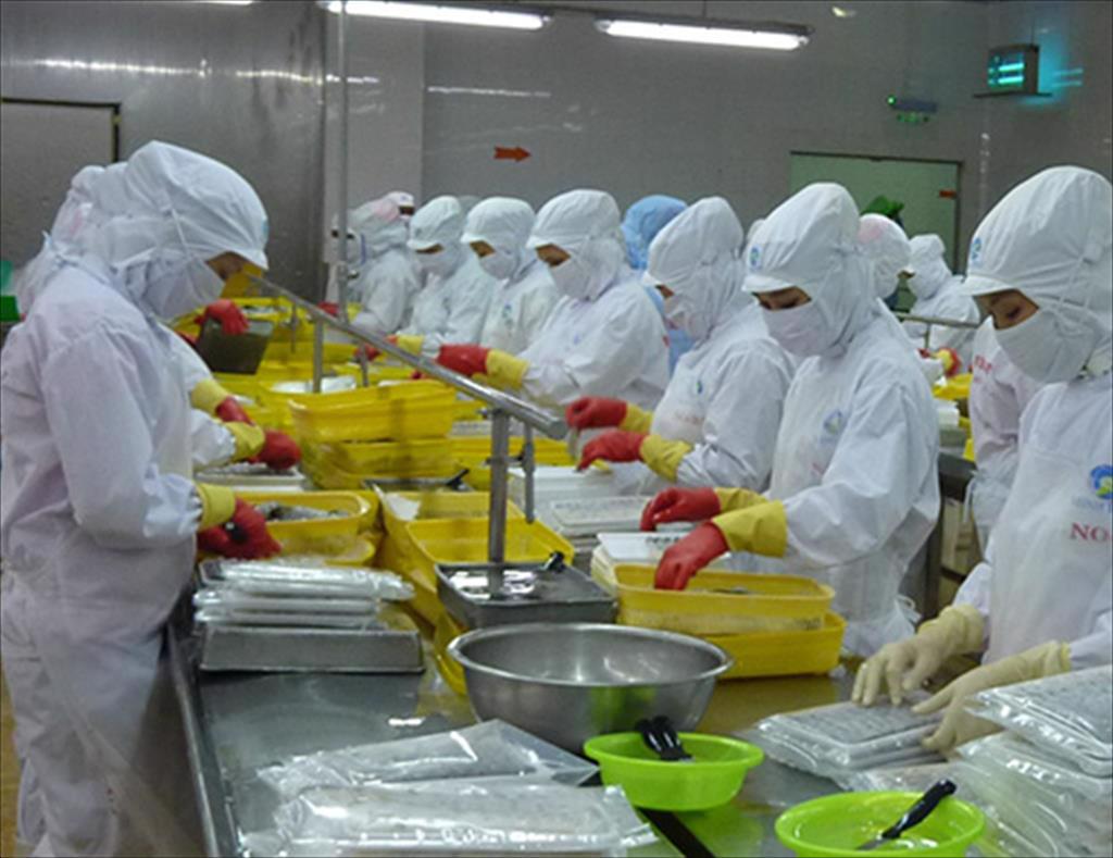 Cấp chứng thư thủy sản sống xuất khẩu sang Trung Quốc qua NSW