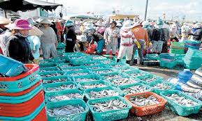 Decision 4407/QD-BNN-TCTS: announces the list of designated fishing ports with sufficient system to confirm the origin of fishing products (phase III, 2020)