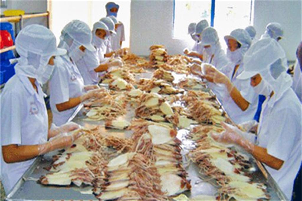 Cephalopod exports to Japan up in last months of 2020