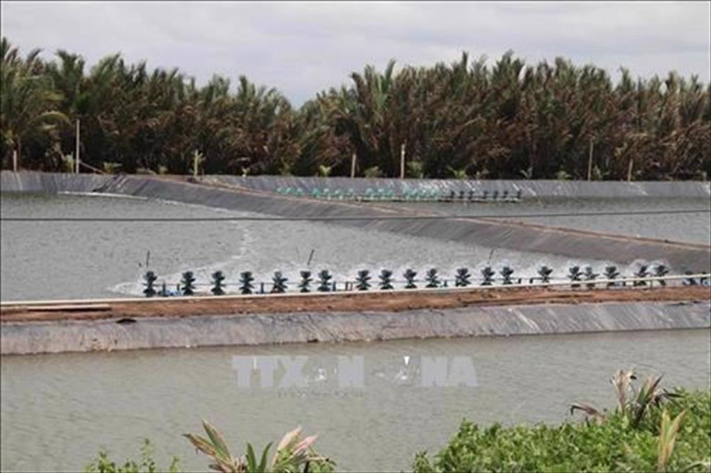 Tra Vinh to expand aquaculture area by 2,500 hectares to 2030