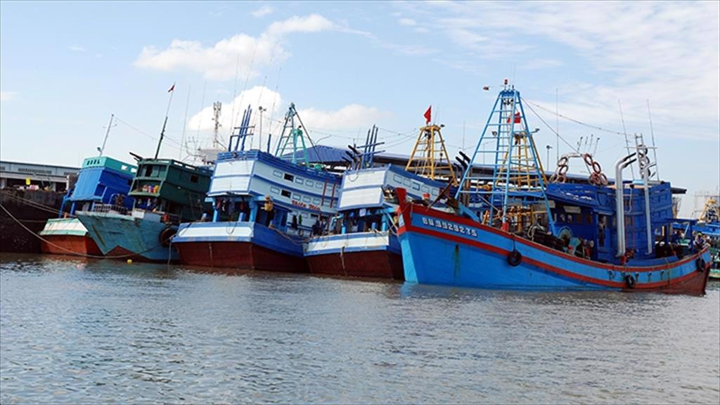 Ba Ria-Vung Tau to get tougher on illegal fishing in foreign waters