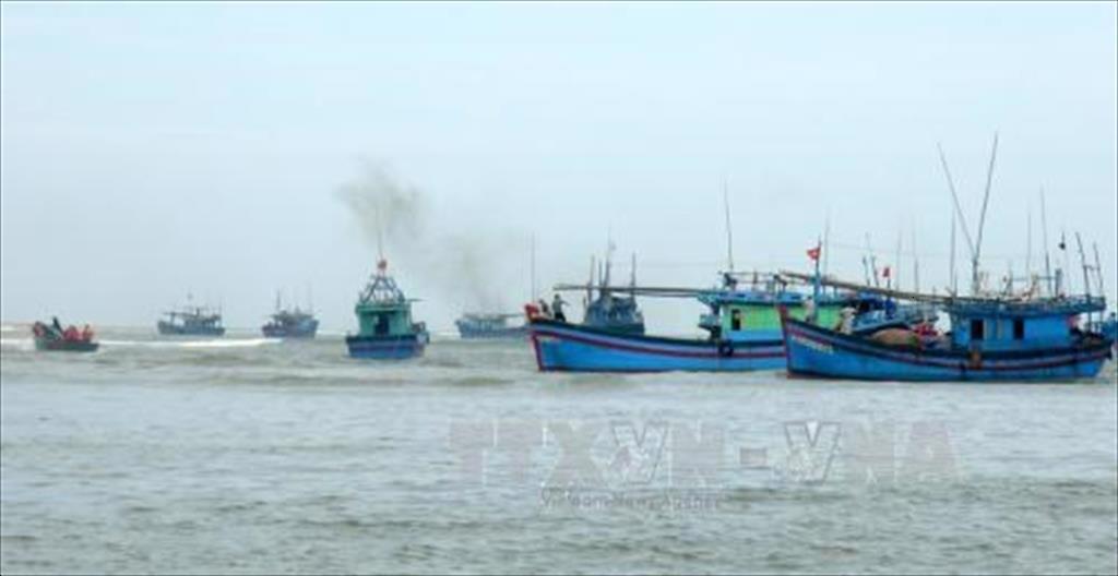 Ba Ria-Vung Tau to get tougher on illegal fishing in foreign waters