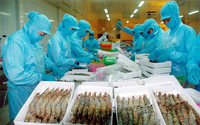 Mekong Delta provinces promote shrimp exports