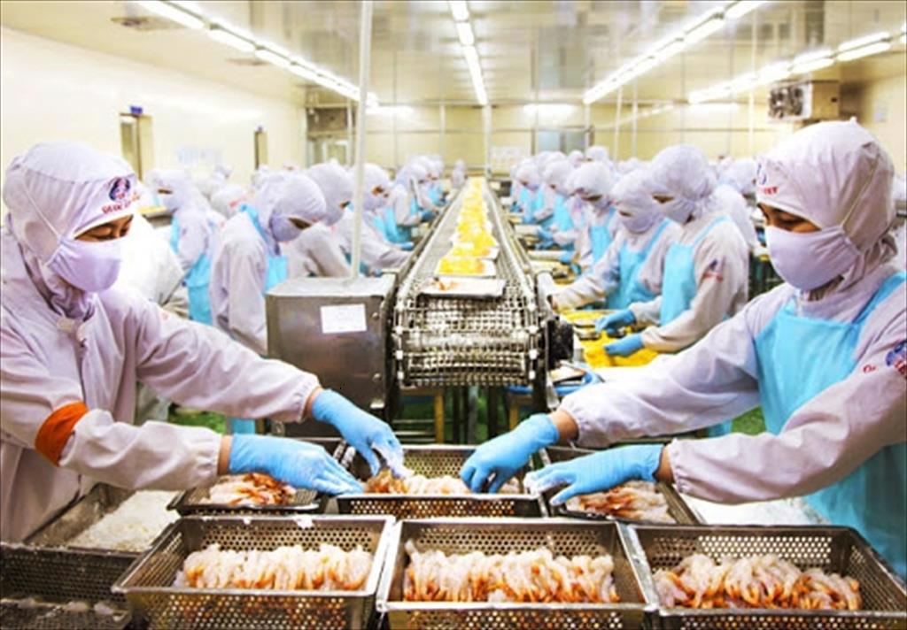 Vietnam seafood exports to the US and CPTPP countries increased sharply