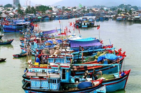 Công bố đợt II năm 2021 Danh sách 03 cảng cá chỉ định có đủ hệ thống xác nhận nguồn gốc thủy sản từ khai thác