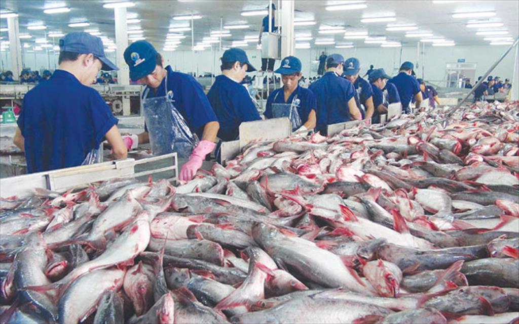 Fisheries expected to become major production industry