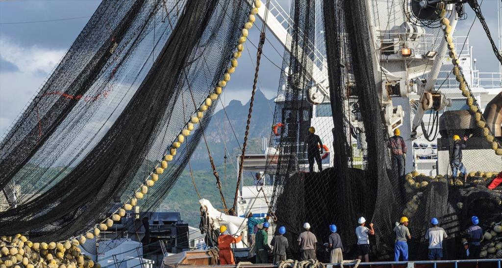 Tổ chức thủy sản Mỹ muốn nhà nước thực thi các quy định về mạ băng