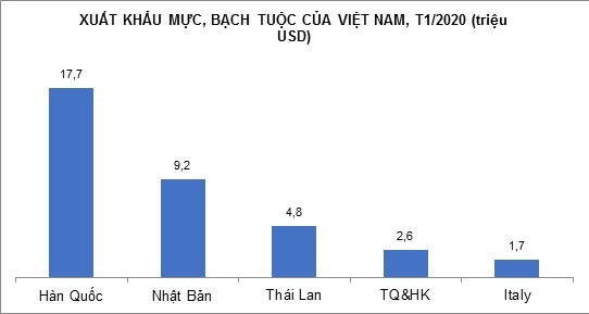 Xuất khẩu mực, bạch tuộc sang các thị trường chính tháng 1/2021 tăng