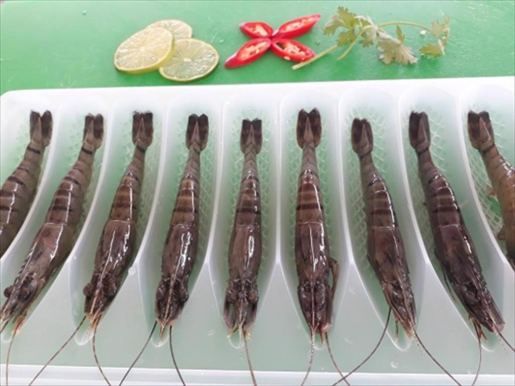 Shrimp exports may exceed 4 billion USD this year