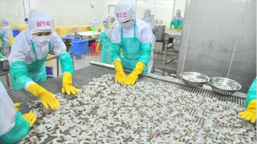 VASEP kiến nghị tháo gỡ bất cập của nhà máy chế biến thuỷ sản liên quan đến các quy định danh mục nặng nhọc, độc hại, nguy hiểm